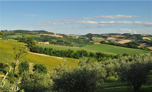 La Quercia Fano foto 48