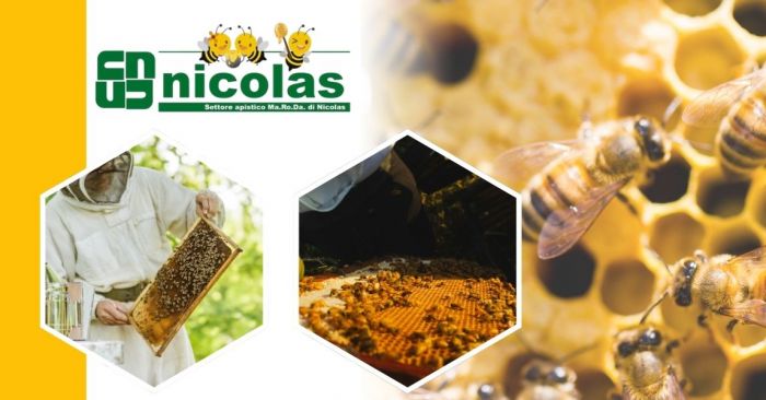 GIUSEPPE Susa foto 6